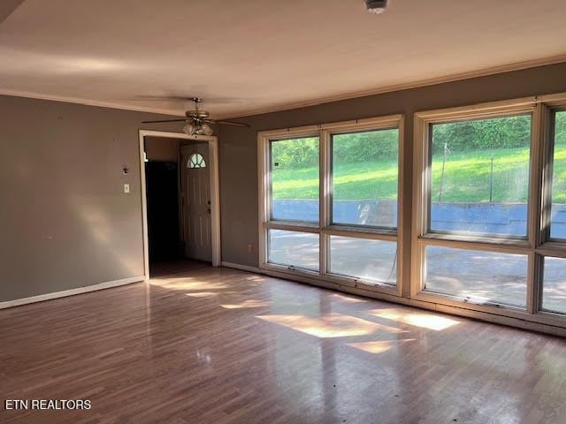 1604 Wandering Rd, Knoxville, TN 37912 - photo 7