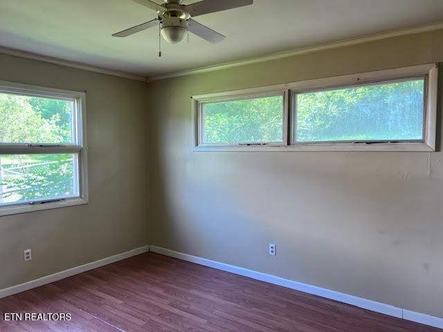 1604 Wandering Rd, Knoxville, TN 37912 - photo 12