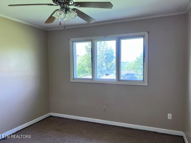 1604 Wandering Rd, Knoxville, TN 37912 - photo 15
