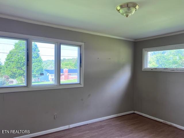 1604 Wandering Rd, Knoxville, TN 37912 - photo 18
