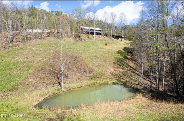 1293 Laurel Lick Rd, Sevierville, TN 37862 - view of subject property with a heavily wooded area