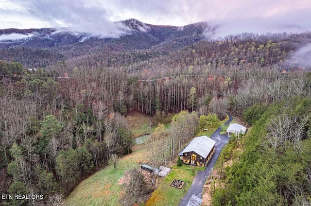 1293 Laurel Lick Rd, Sevierville, TN 37862 - view of subject property with a forest and a mountain backdrop
