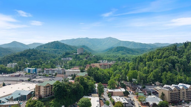685 River Rd Unit 314, Gatlinburg, TN 37738 - mountain view with a forest