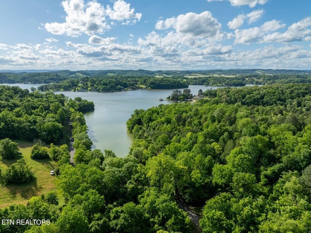 500 Geisler Rd, Piney Flats, TN 37686 - photo 18