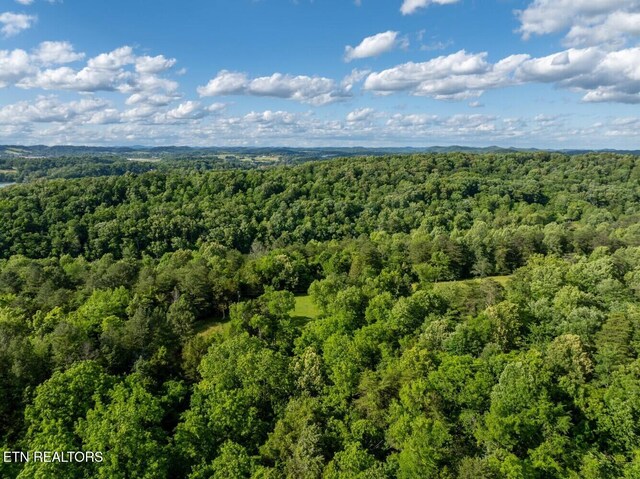 500 Geisler Rd, Piney Flats, TN 37686 - photo 15
