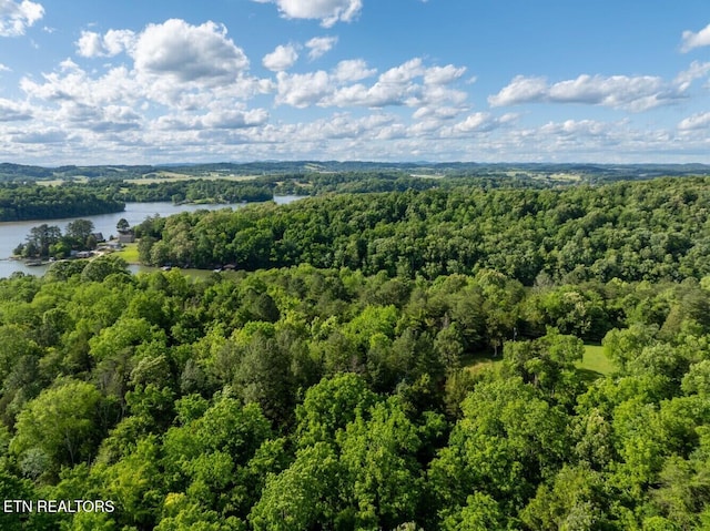 500 Geisler Rd, Piney Flats, TN 37686 - photo 21