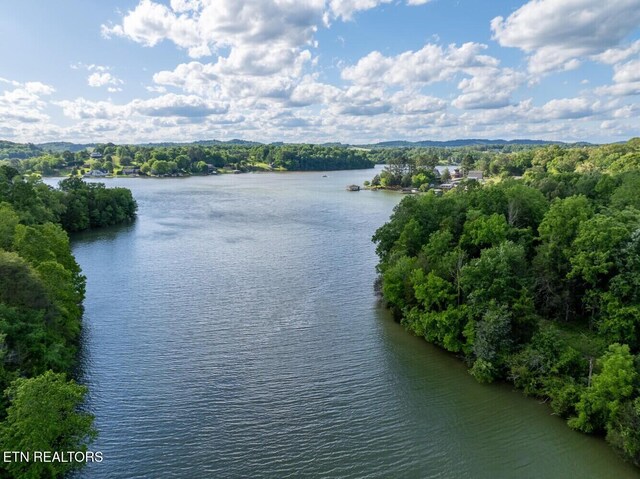 500 Geisler Rd, Piney Flats, TN 37686 - photo 16