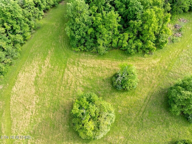 500 Geisler Rd, Piney Flats, TN 37686 - photo 24