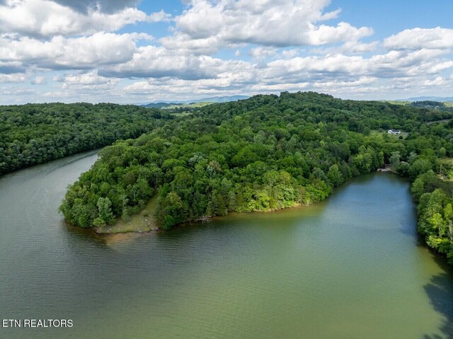 500 Geisler Rd, Piney Flats, TN 37686 - photo 3