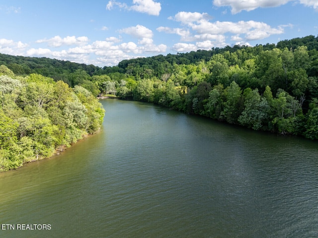500 Geisler Rd, Piney Flats, TN 37686 - photo 23