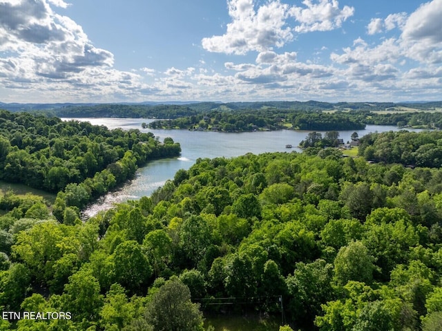 500 Geisler Rd, Piney Flats, TN 37686 - photo 28