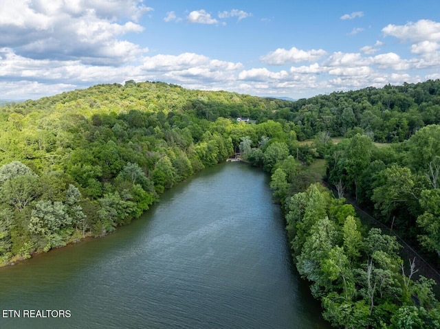 500 Geisler Rd, Piney Flats, TN 37686 - photo 29