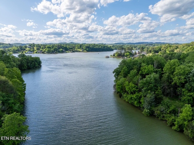 500 Geisler Rd, Piney Flats, TN 37686 - photo 33