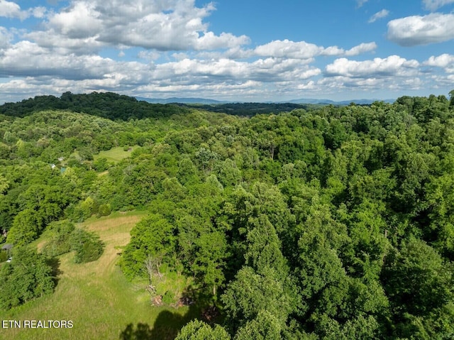 500 Geisler Rd, Piney Flats, TN 37686 - photo 20