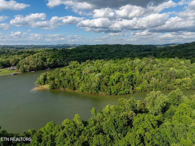500 Geisler Rd, Piney Flats, TN 37686 - photo 4