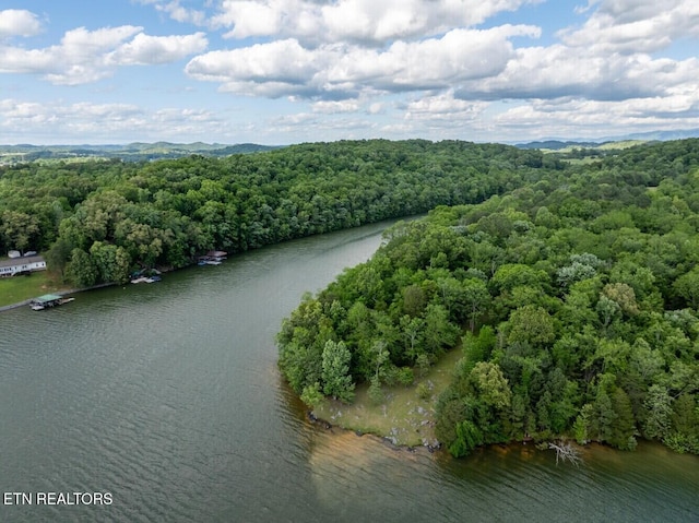 500 Geisler Rd, Piney Flats, TN 37686 - photo 8