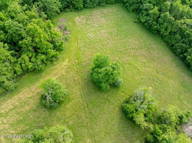 500 Geisler Rd, Piney Flats, TN 37686 - photo 35