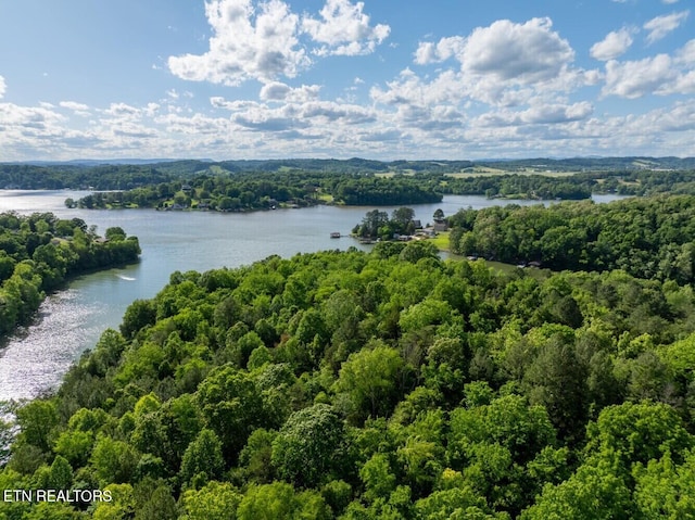 500 Geisler Rd, Piney Flats, TN 37686 - photo 5