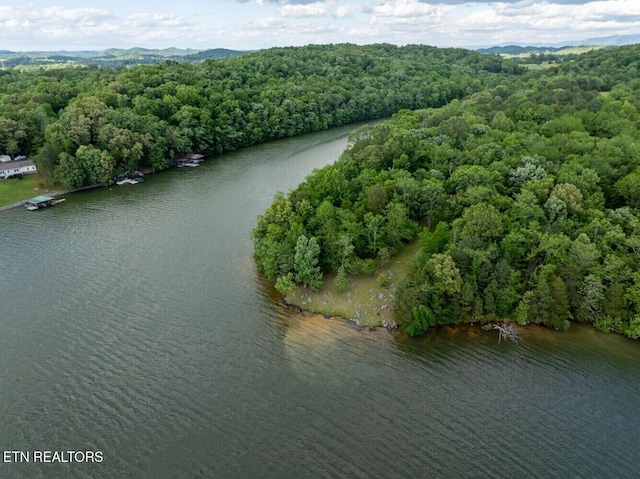 500 Geisler Rd, Piney Flats, TN 37686 - photo 2