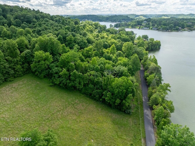 500 Geisler Rd, Piney Flats, TN 37686 - photo 36