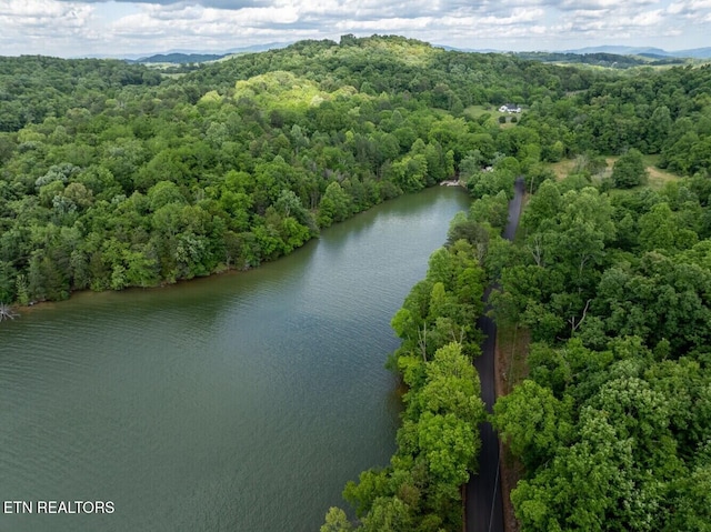 500 Geisler Rd, Piney Flats, TN 37686 - photo 13