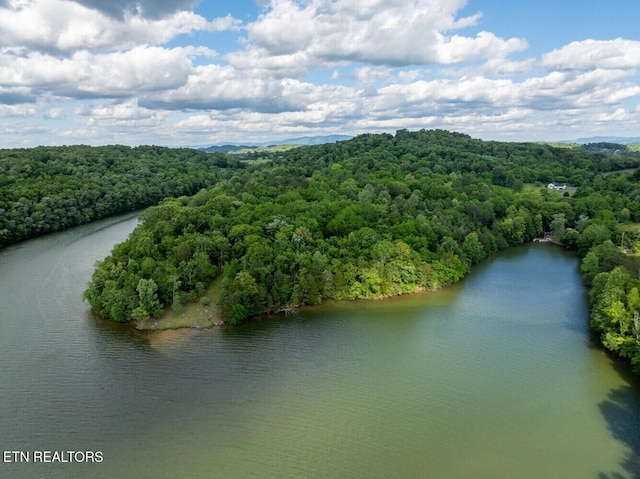 500 Geisler Rd, Piney Flats, TN 37686 - photo 1