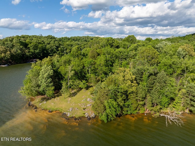 500 Geisler Rd, Piney Flats, TN 37686 - photo 7