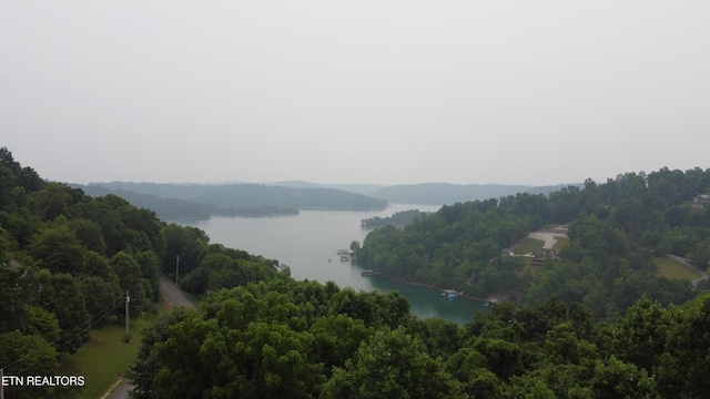 00 Shanghai Lake Ln, Lafollette, TN 37766