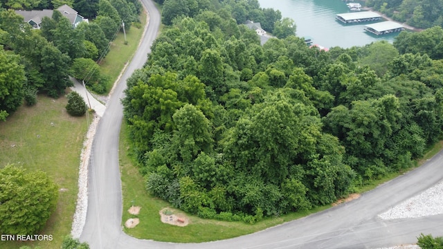 00 Shanghai Lake Ln, Lafollette, TN 37766