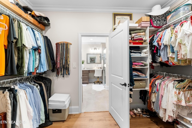101 Dudala Way, Loudon, TN 37774 - walk in closet with wood finished floors