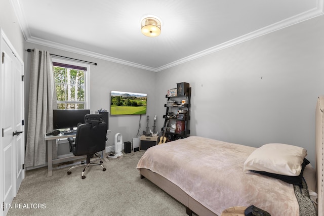 101 Dudala Way, Loudon, TN 37774 - carpeted bedroom featuring crown molding and an office area