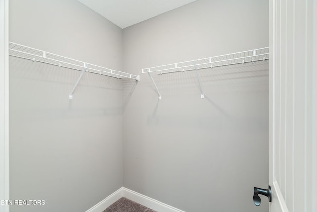 128 Hackberry St, Oak Ridge, TN 37830 - view of walk in closet