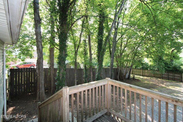 1332 Beaumont Ave, Knoxville, TN 37921 - photo 29