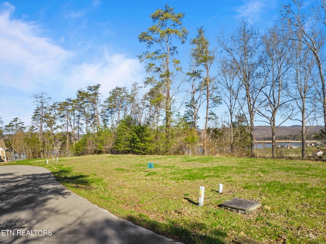 Dove Ct, Sharps Chapel, TN 37866 - photo 1