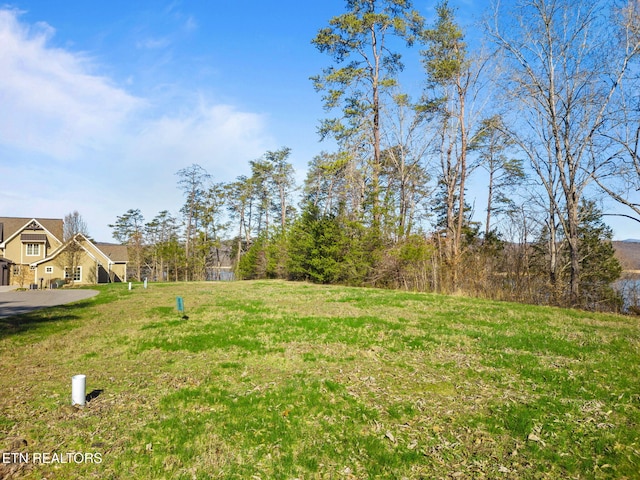 Dove Ct, Sharps Chapel, TN 37866 - photo 2