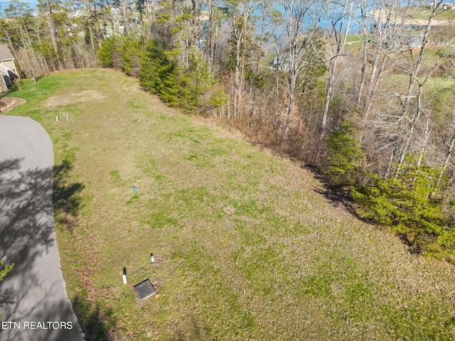 Dove Ct, Sharps Chapel, TN 37866 - photo 3
