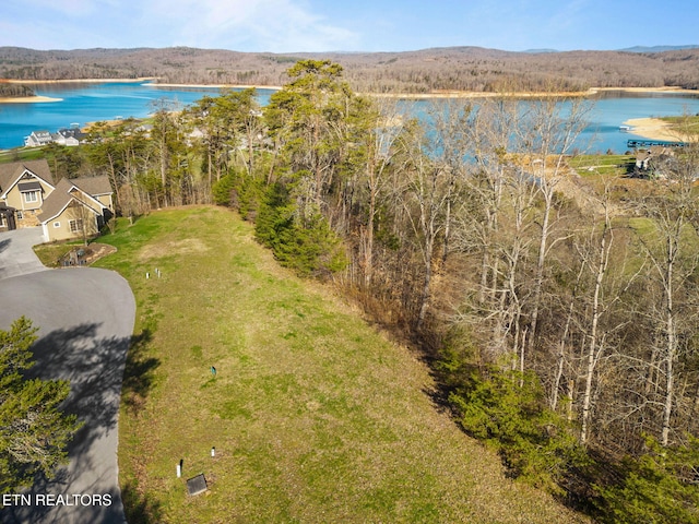 Dove Ct, Sharps Chapel, TN 37866 - photo 4