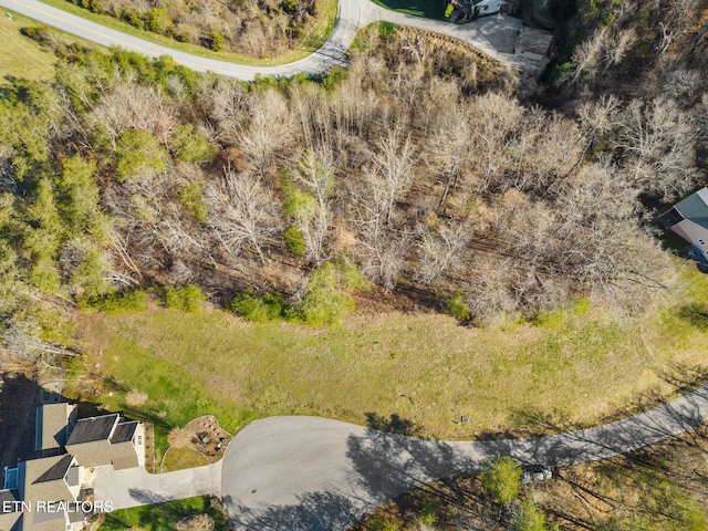 Dove Ct, Sharps Chapel, TN 37866 - photo 11