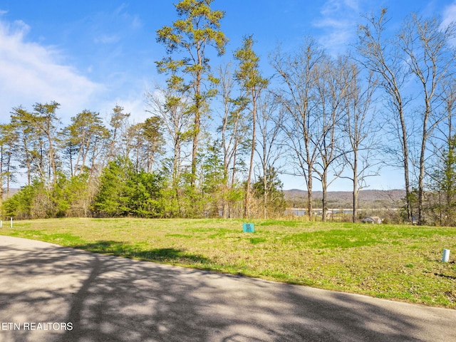 Dove Ct, Sharps Chapel, TN 37866 - photo 12