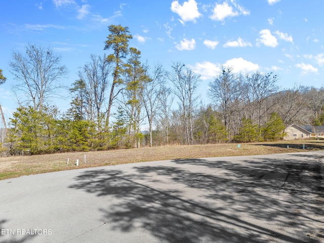 Dove Ct, Sharps Chapel, TN 37866 - photo 28