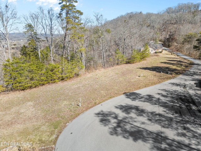 Dove Ct, Sharps Chapel, TN 37866 - photo 29
