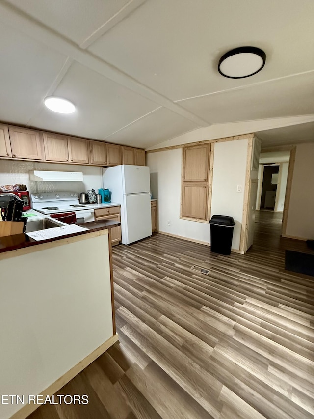 489 Trimmer Ln, Jamestown, TN 38556 - kitchen with white appliances, vaulted ceiling, dark wood finished floors, under cabinet range hood, and a sink