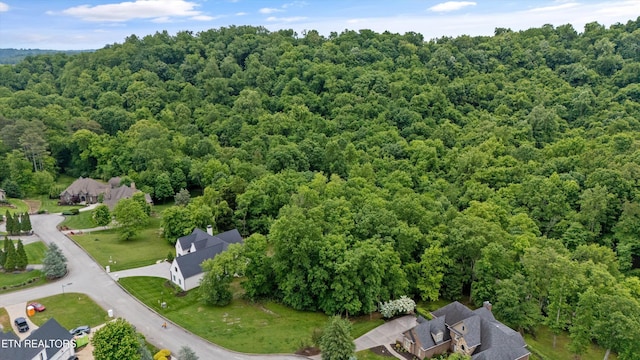 9524 Fortress Ln, Knoxville, TN 37922 - photo 8