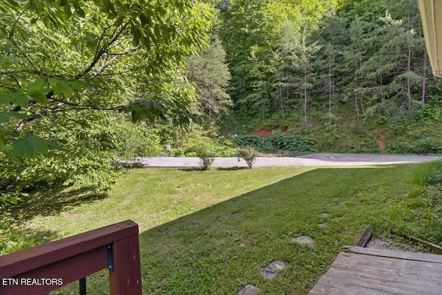 383 Maiden Ln, Speedwell, TN 37870 - photo 28