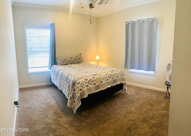 318 Deer Trail Dr, Dandridge, TN 37725 - bedroom with crown molding, carpet flooring, and baseboards
