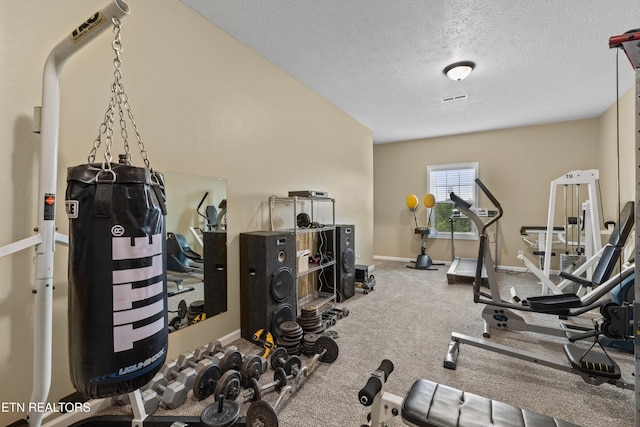 2055 Scott St, Sevierville, TN 37876 - exercise room featuring a textured ceiling, baseboards, and carpet flooring