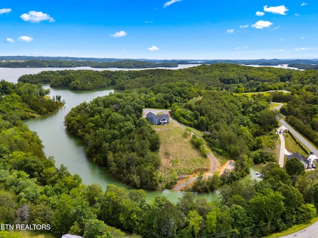 2055 Scott St, Sevierville, TN 37876 - bird's eye view of a heavily wooded area and a nearby body of water