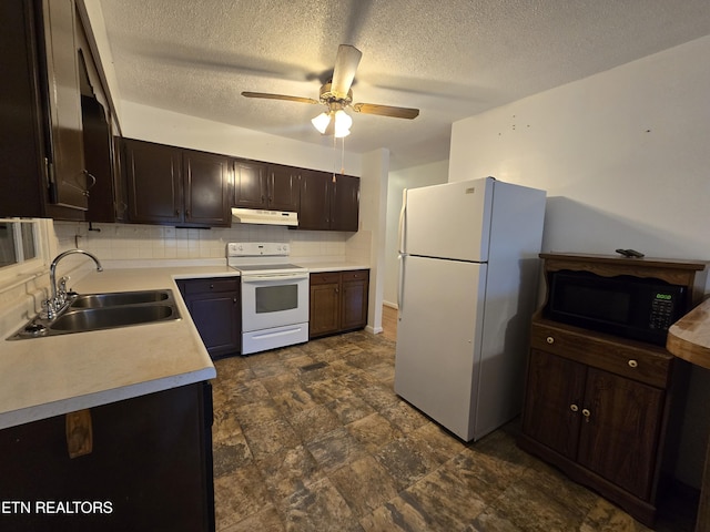 288 Machine Branch Rd, Ewing, VA 24248 - kitchen featuring white appliances, a sink, under cabinet range hood, light countertops, and dark brown cabinetry