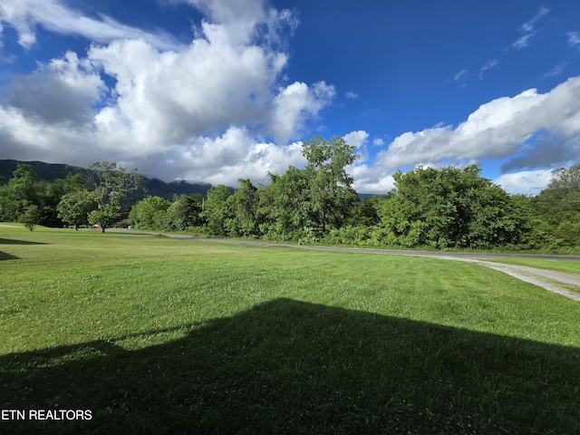 288 Machine Branch Rd, Ewing, VA 24248 - view of grassy yard