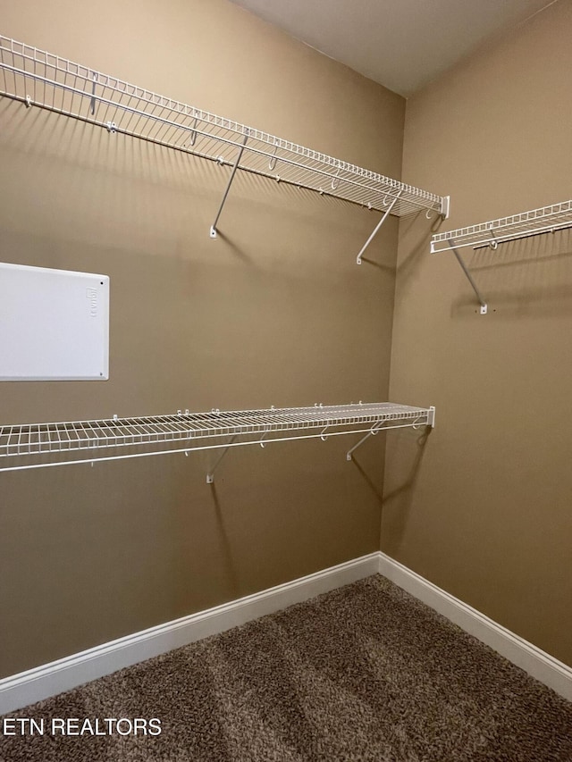 103 Crossroads Blvd, Oak Ridge, TN 37830 - walk in closet with carpet floors